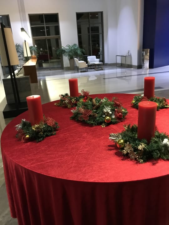 Lobby Acanthus Cennet Barut Collection