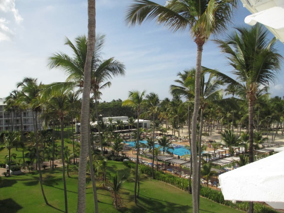 Blick auf pool und garten Hotel Riu Palace Macao - Adults only