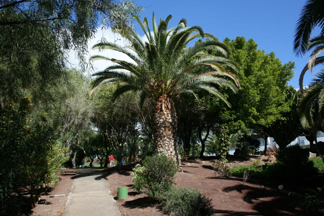 Ein Gang durch den Park allsun App.-Hotel Esquinzo Beach