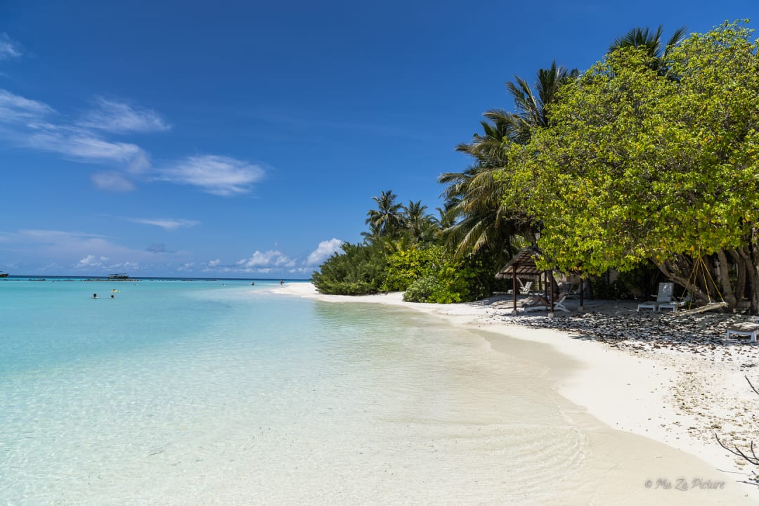 Strand Summer Island Maldives