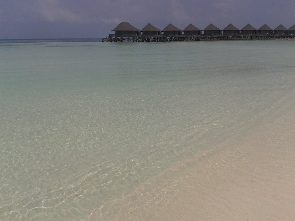 Blick aud die Wasserbungalows Kuredu Island Resort & Spa