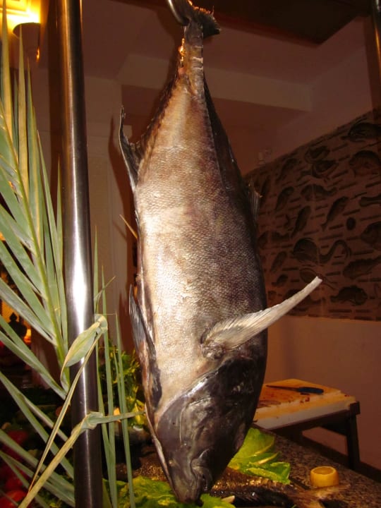 Thunfisch frisch zubereitet!  leeecker Hotel El Mouradi Djerba Menzel