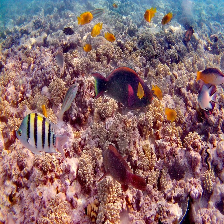 Sport & Freizeit Cleopatra Luxury Resort Makadi Bay