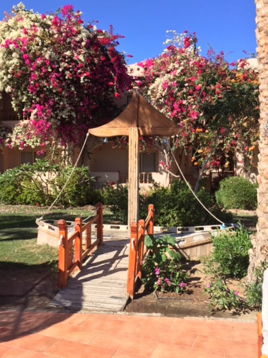 Gartenanlage Hotel Blue Lagoon