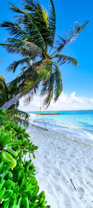Strand Summer Island Maldives