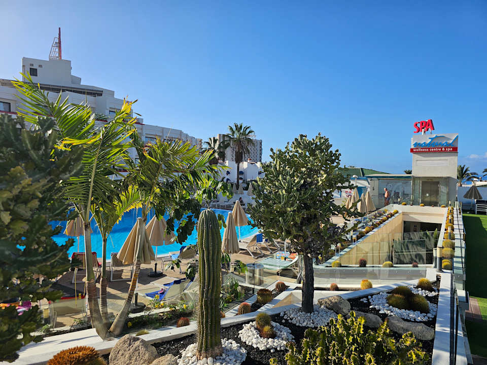 Pool Alexandre Hotel Gala