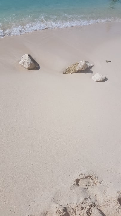 Strand Dreams Dominicus La Romana