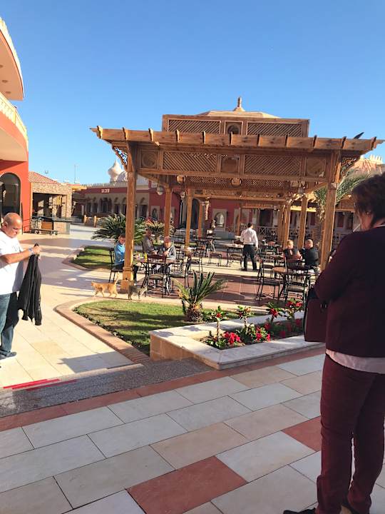 Gastro Pickalbatros Alf Leila Wa Leila Resort - Neverland Hurghada