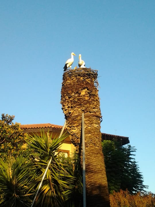 Ausblick Alba Resort Hotel