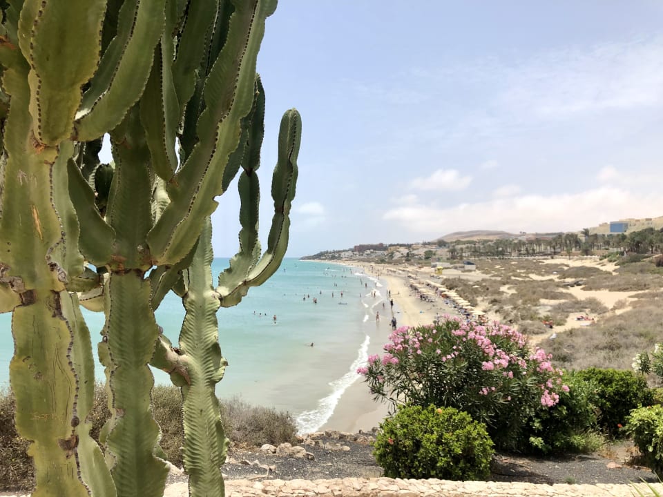 Ausblick SBH Hotel Taro Beach