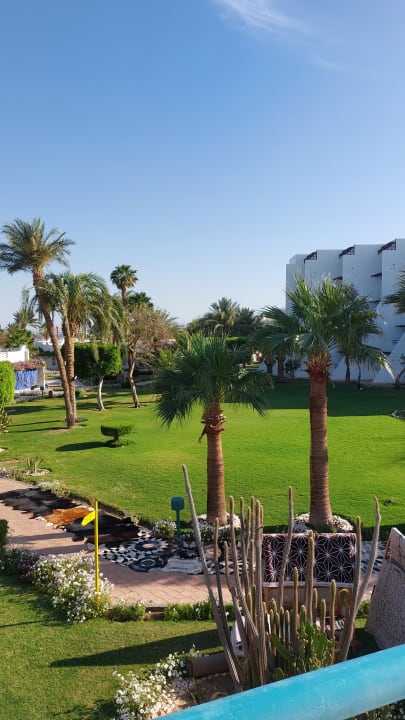 Gartenanlage Shams Safaga Resort