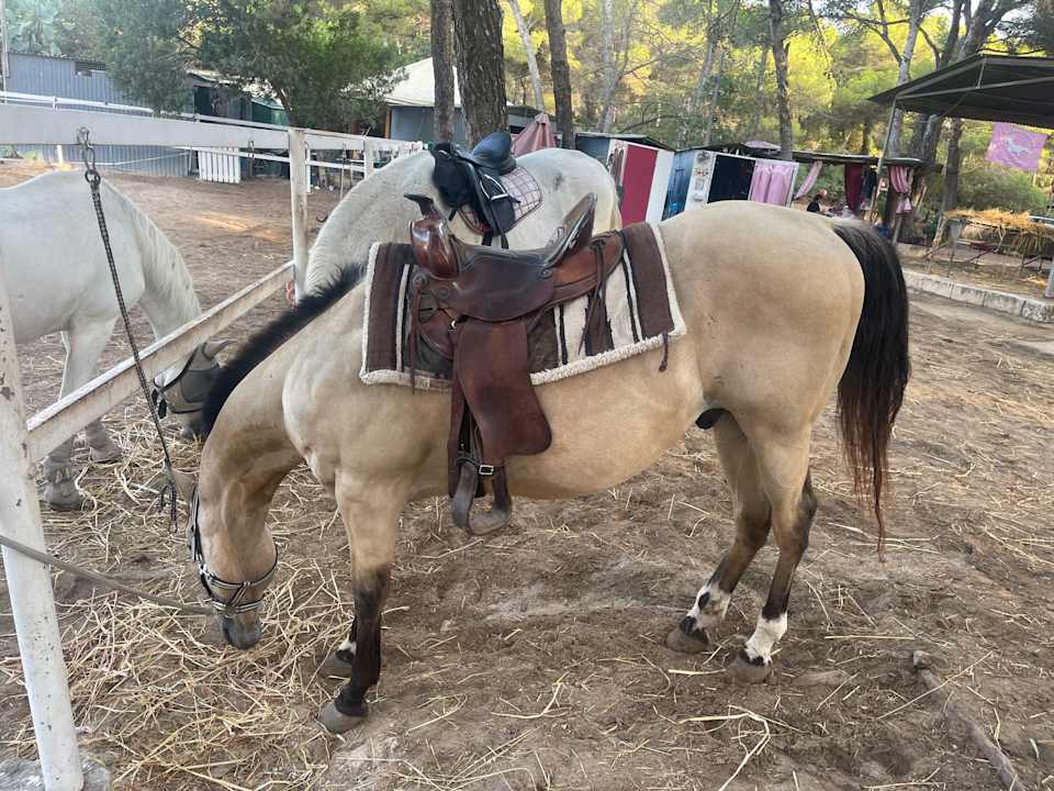 Sport & Freizeit Hotel Na Forana