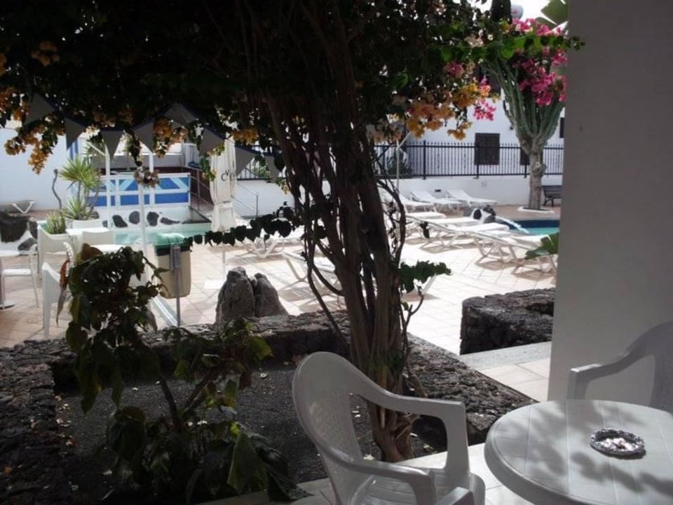 Terrasse Hotel Los Tulipanes