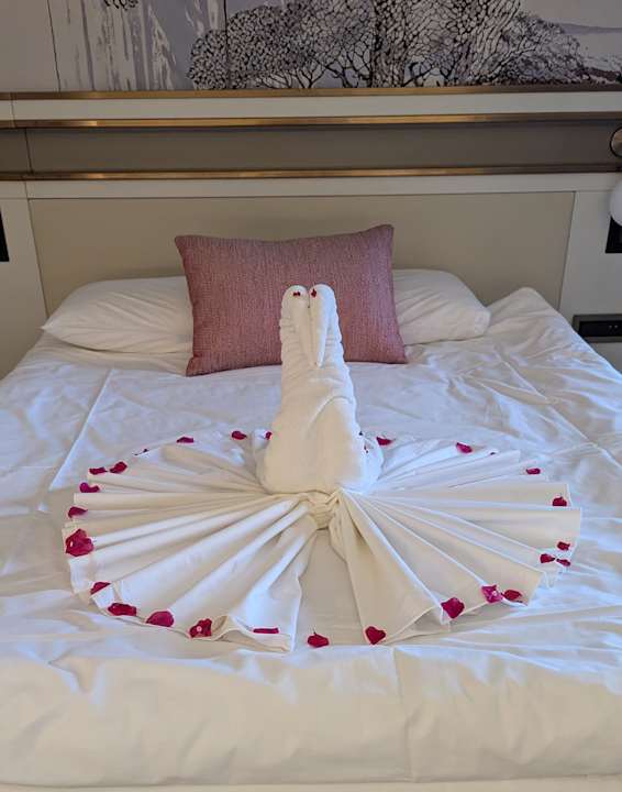 Zimmer Hotel Delphin Palace