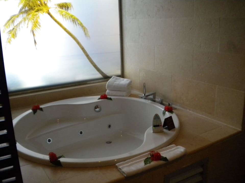 Whirlpool Catalonia Royal Bavaro - Adults only