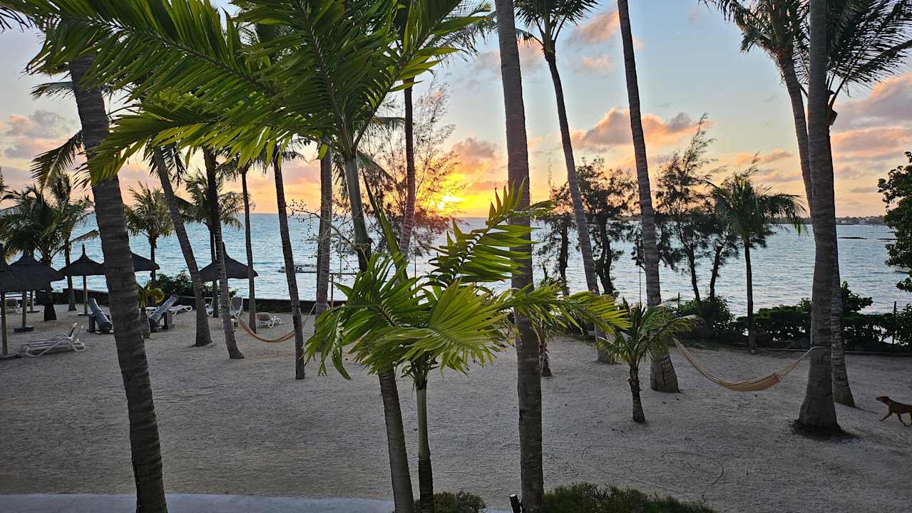 Zimmer Lagoon Attitude - Adults only