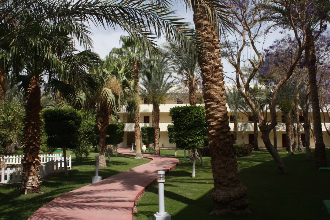 Gartenanlage LABRANDA Royal Makadi