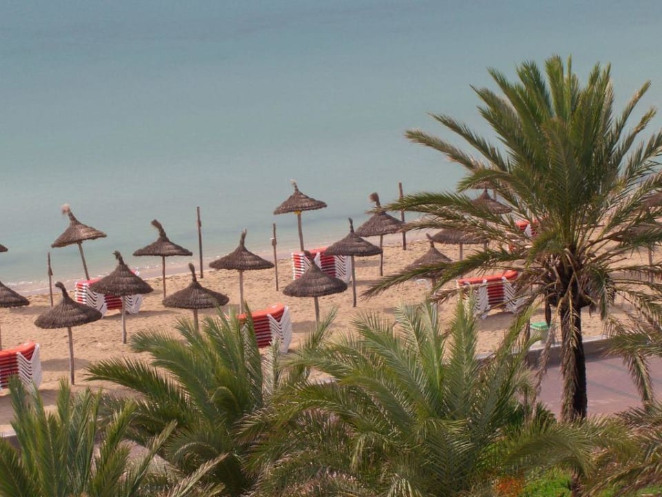 Strand AYA Seahotel - Adults only