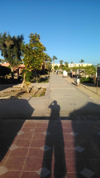 Strandweg Eagles Paradise Abu Soma