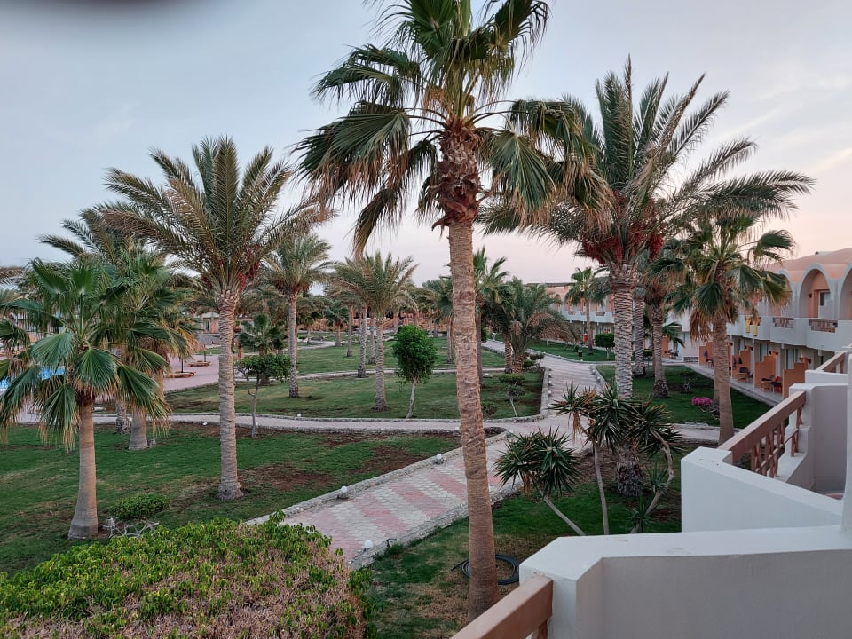 Ausblick Three Corners Sea Beach Resort