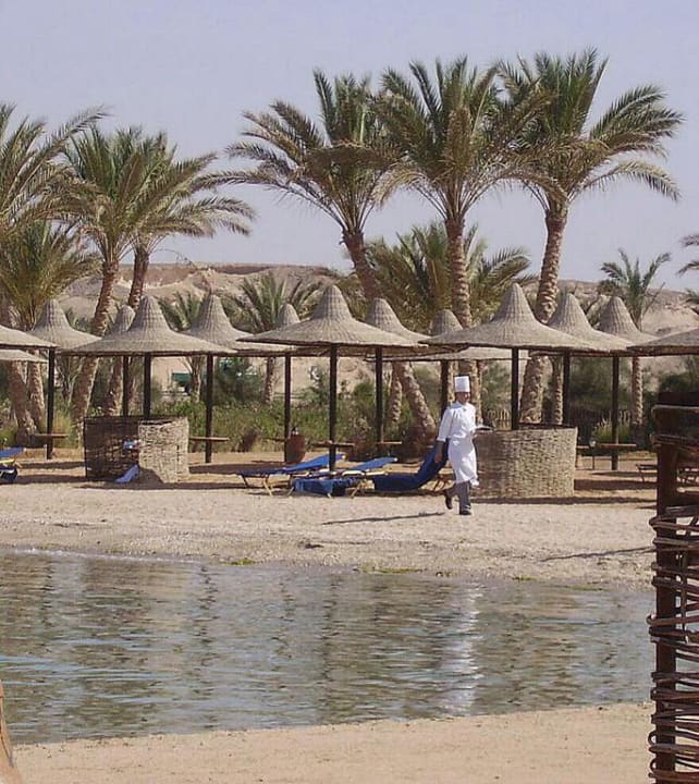 Der Koch am Strand Steigenberger Coraya Beach - Adults only