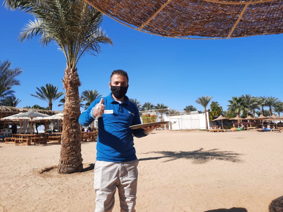 Sonstiges Desert Rose