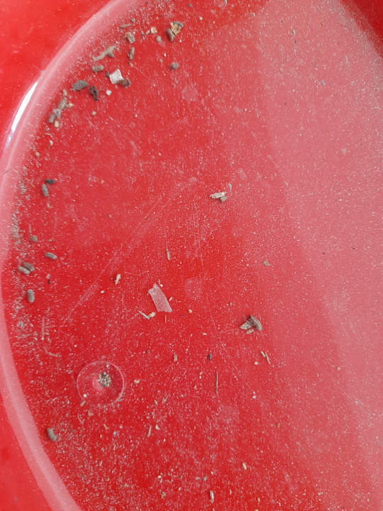 Sonstiges Villa Swalletta