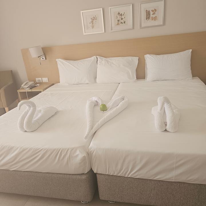 Zimmer JAZ Elite Asteria