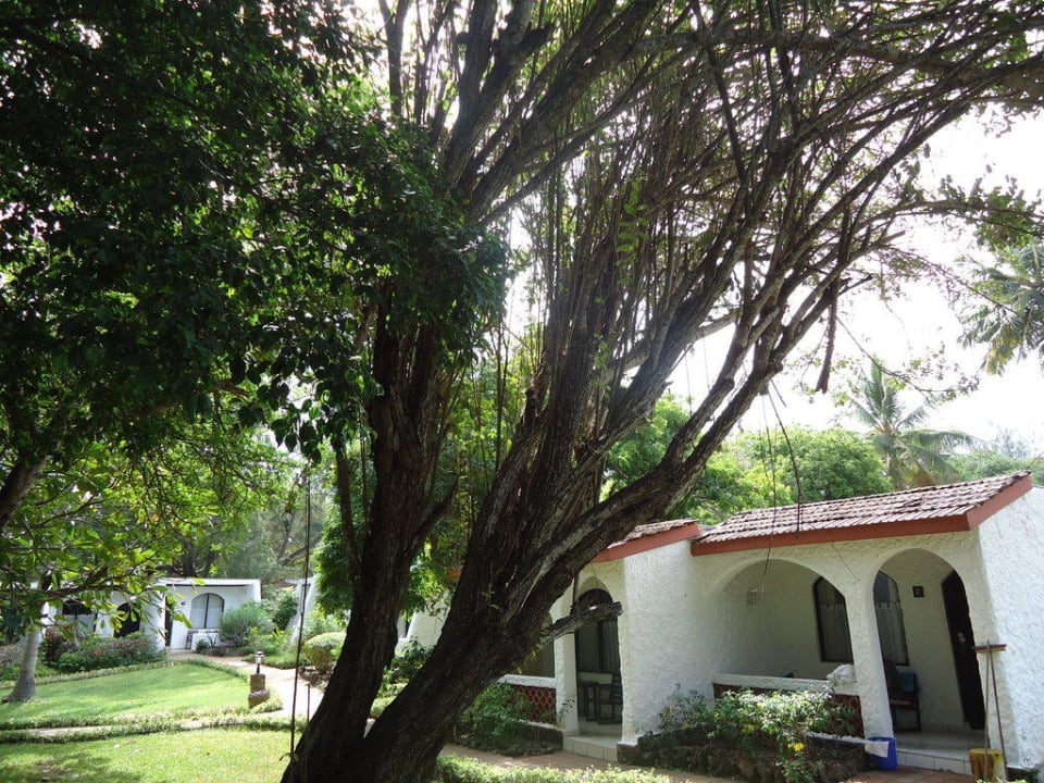 Garten Hotel Diani Sea Lodge