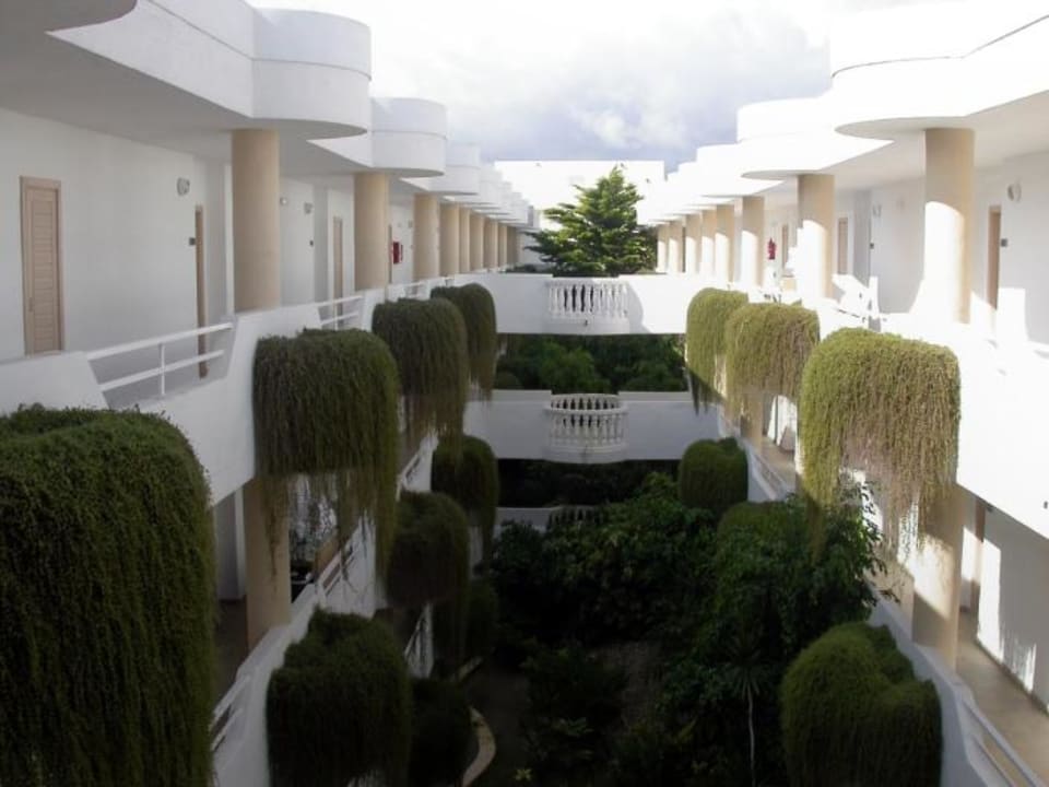 Begrüntes Atrium Iberostar Selection Albufera Park