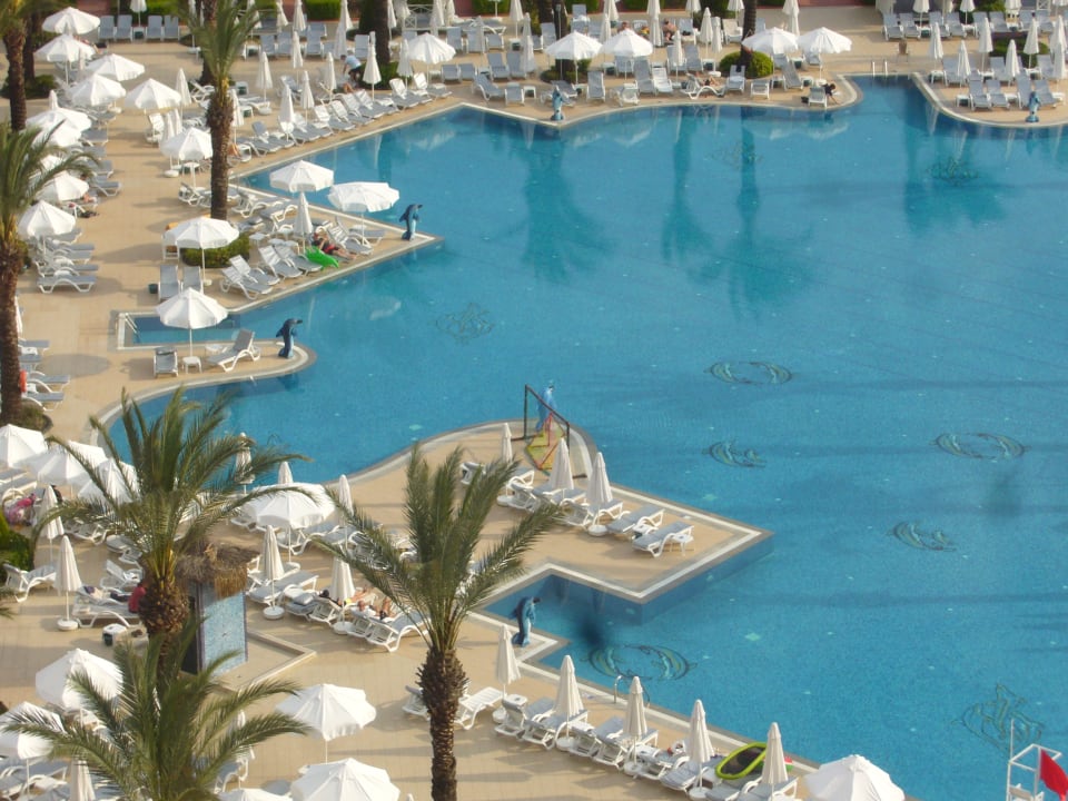 Pool Hotel Delphin Palace