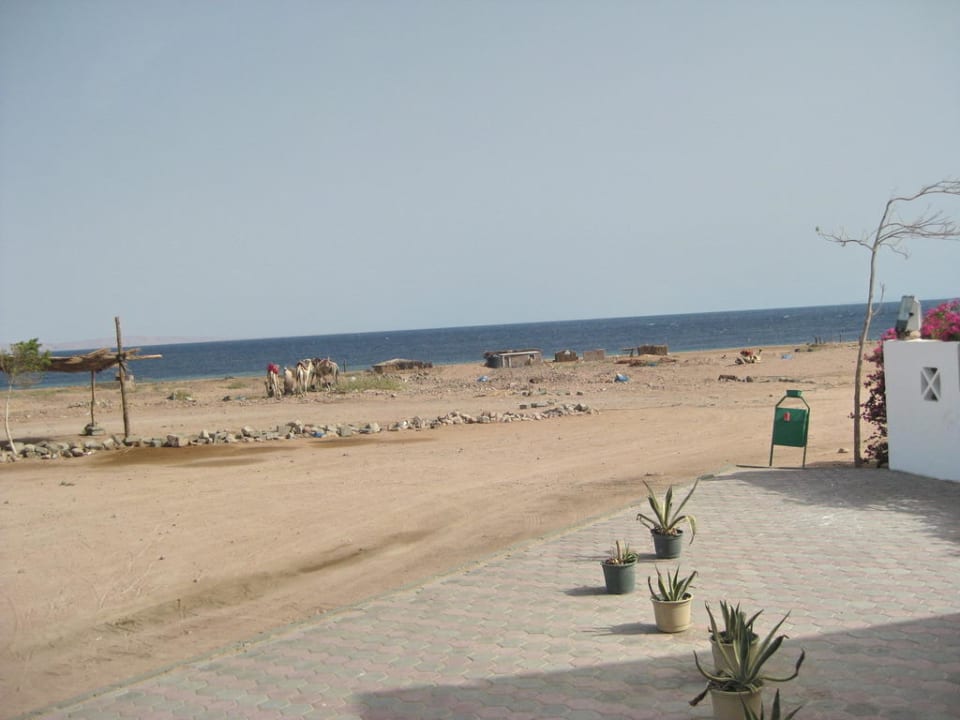 Blick aufs Meer, vom Haupteingang Happy Life Village
