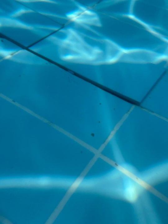 Pool Dizalya Palm Garden