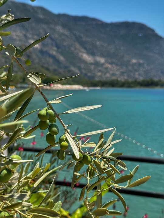 Außenansicht Hotel Meri