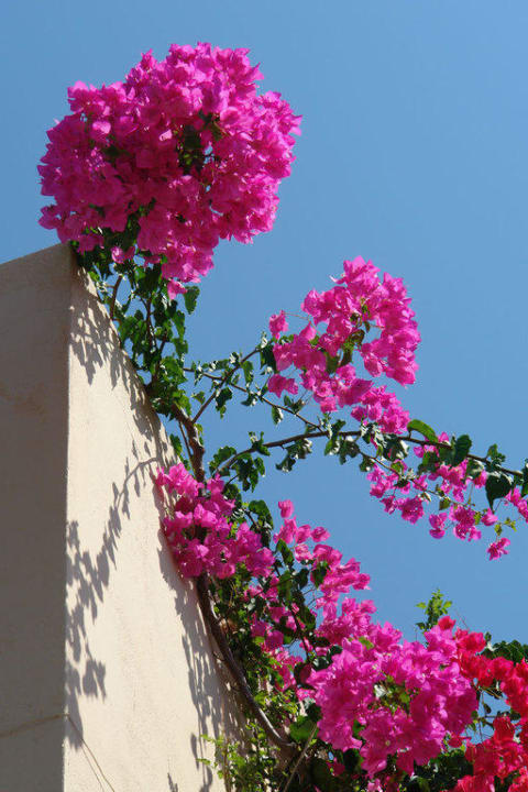 Blumen Grand Hotel Holiday Resort