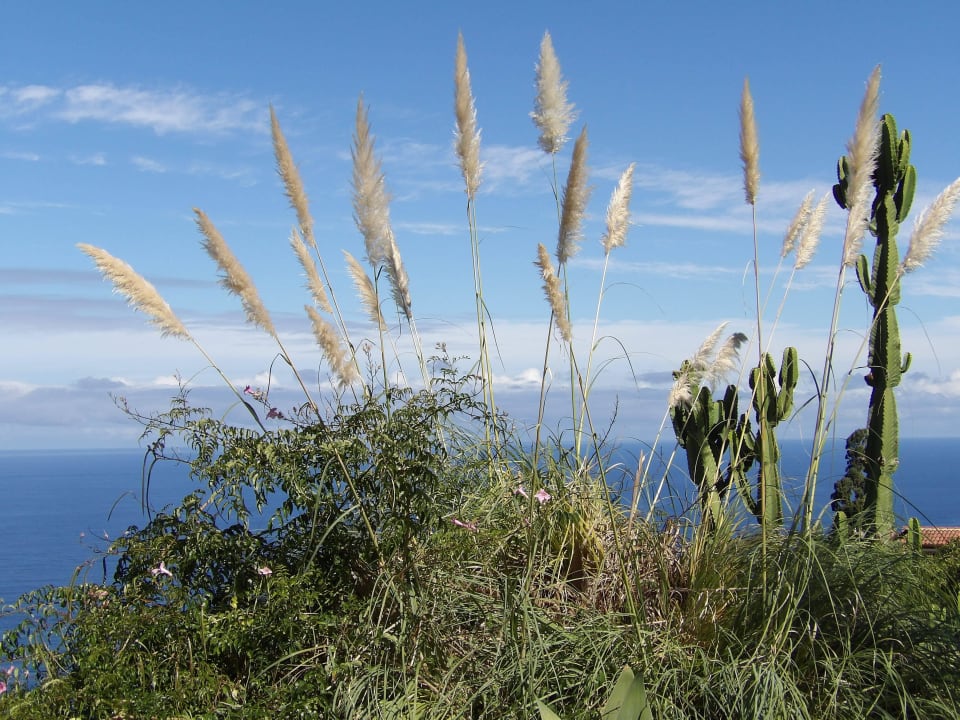 Impressionen  Jardin Mariposa Retreat- und Seminarzentrum