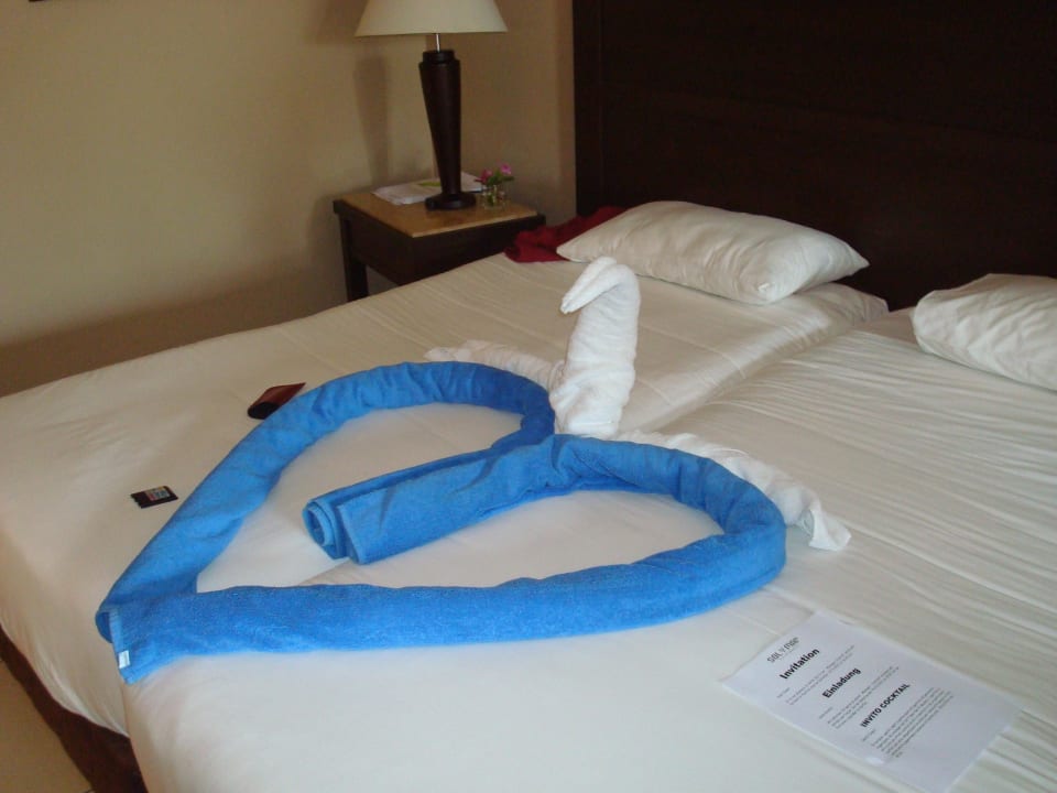 Haustiere  Jaz Dar EL Madina