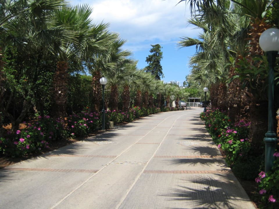 Weg zum Hotel Calimera Sirens Beach