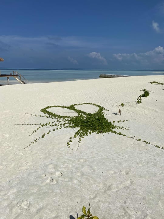 Strand Cinnamon Velifushi Maldives - Free One-Way Speedboat and 02 Kids Under 12 Stay & Dine Free