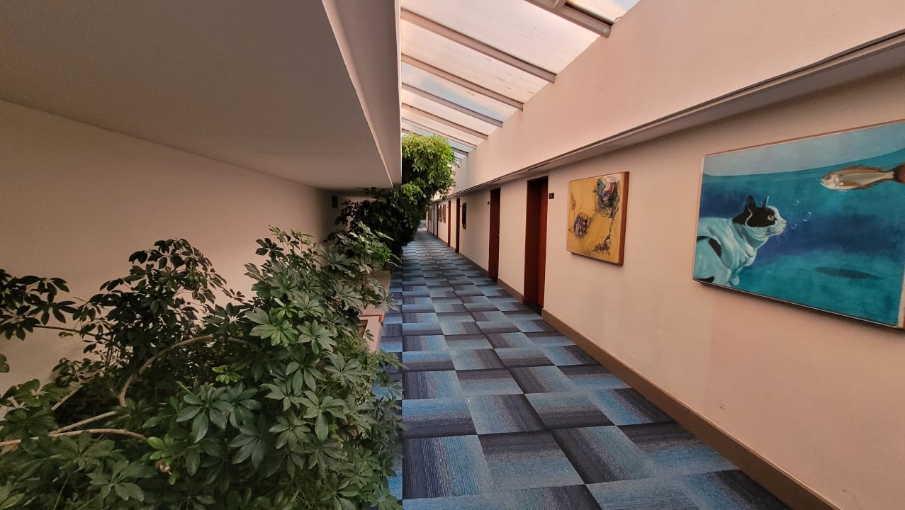 Zimmer Hotel Pine Bay Holiday Resort