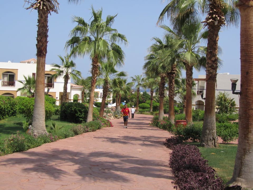 Hotel Shores Aloha Amphoras Blu