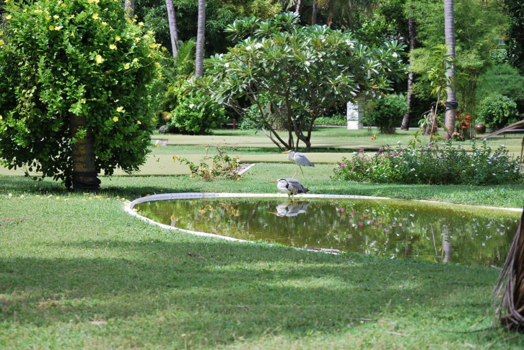 Der "Golfplatz" Villa Park Sun Island