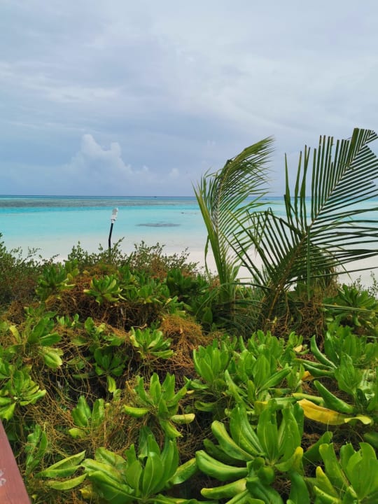 Ausblick Cinnamon Hakuraa Huraa Maldives