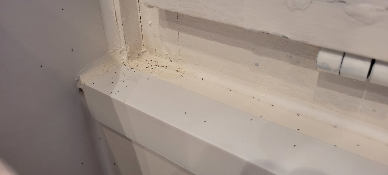 Zimmer Ferienwohnungen Ferienpark Weissenhäuser Strand