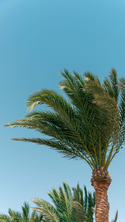 Strand Mövenpick Resort El Quseir