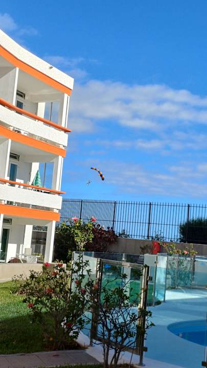 Gartenanlage Apartments Arco Iris