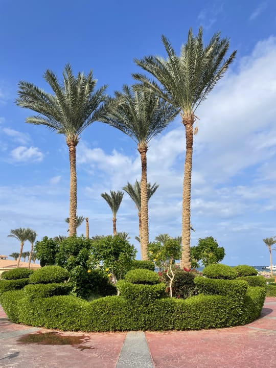 Außenansicht Cleopatra Luxury Resort Makadi Bay