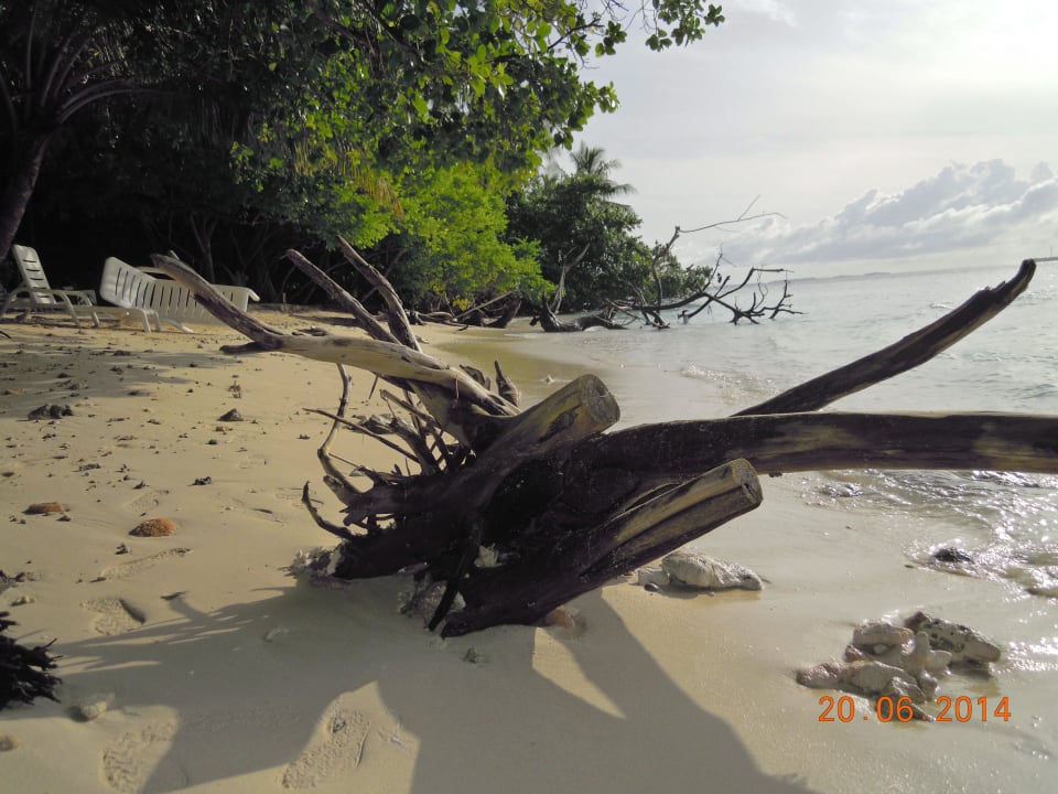 17 Biyadhoo Island Resort