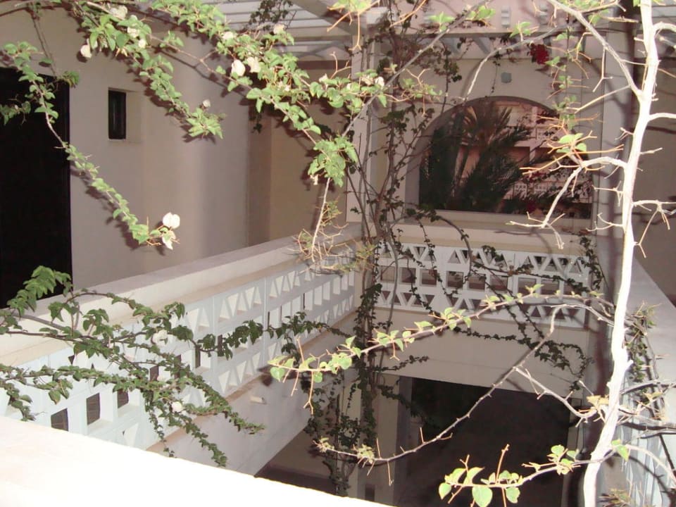 Innenhof Zimmer 5071 Zita Beach Resort