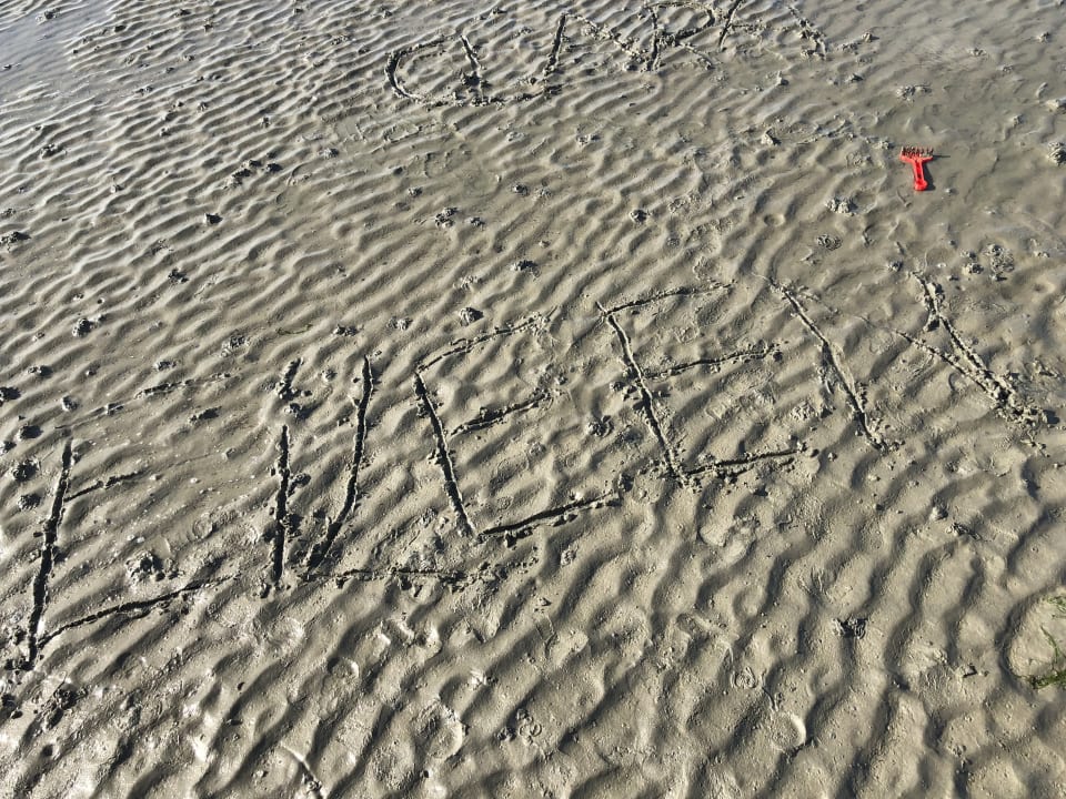 Strand Center Parcs Park Nordseeküste